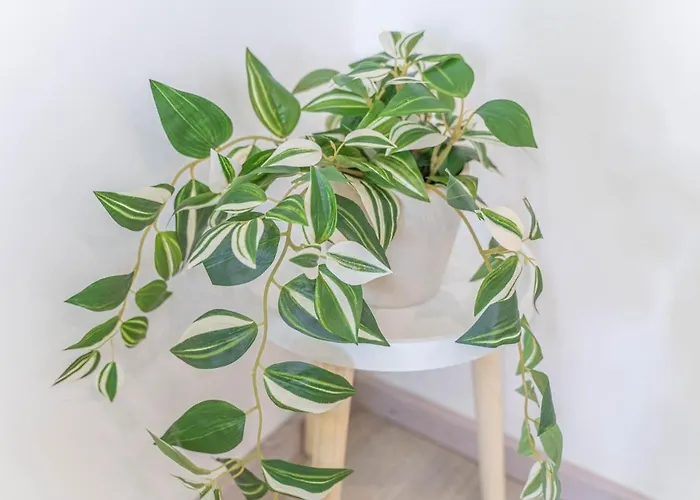 Apartment Mettmann Appartement