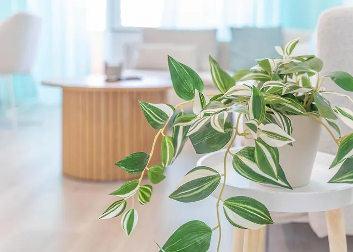 Apartment Mettmann Appartement Mettmann